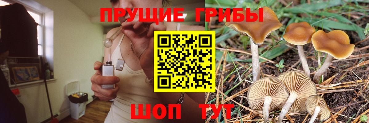 Галлюциногенные грибы ЛСД Воткинск